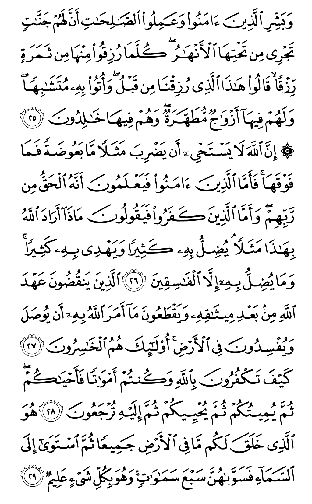 Quran Page 5