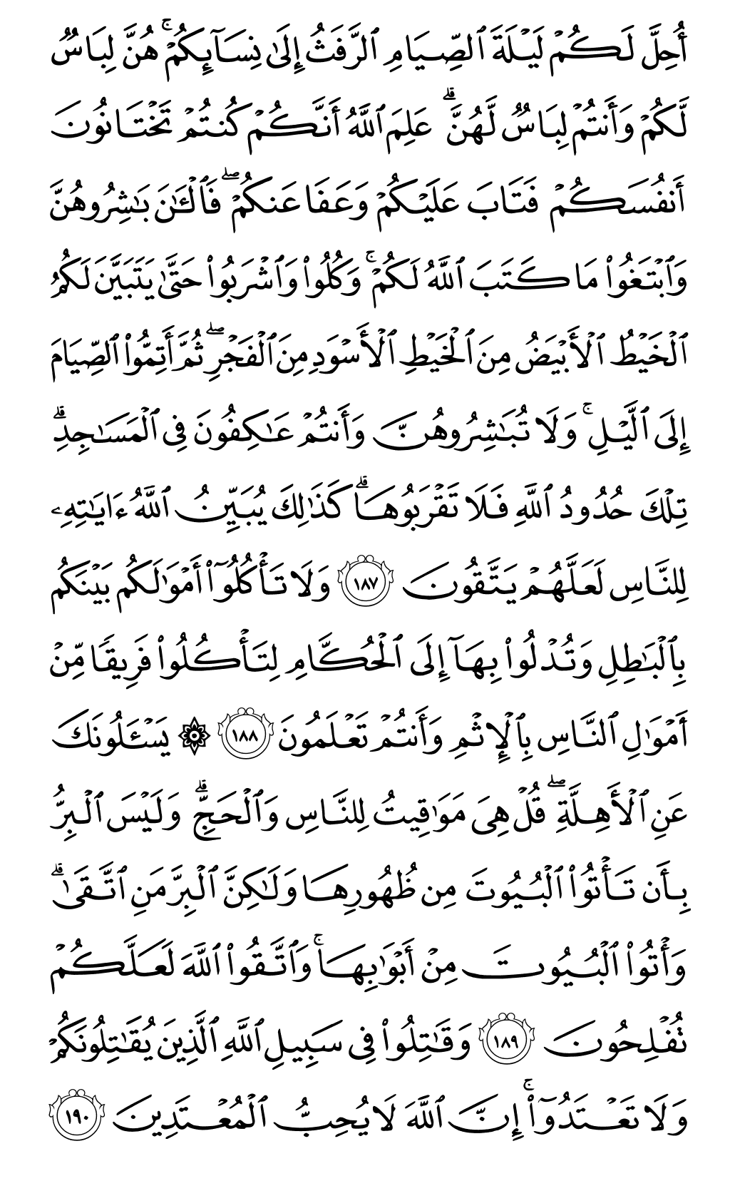 Quran Page 29