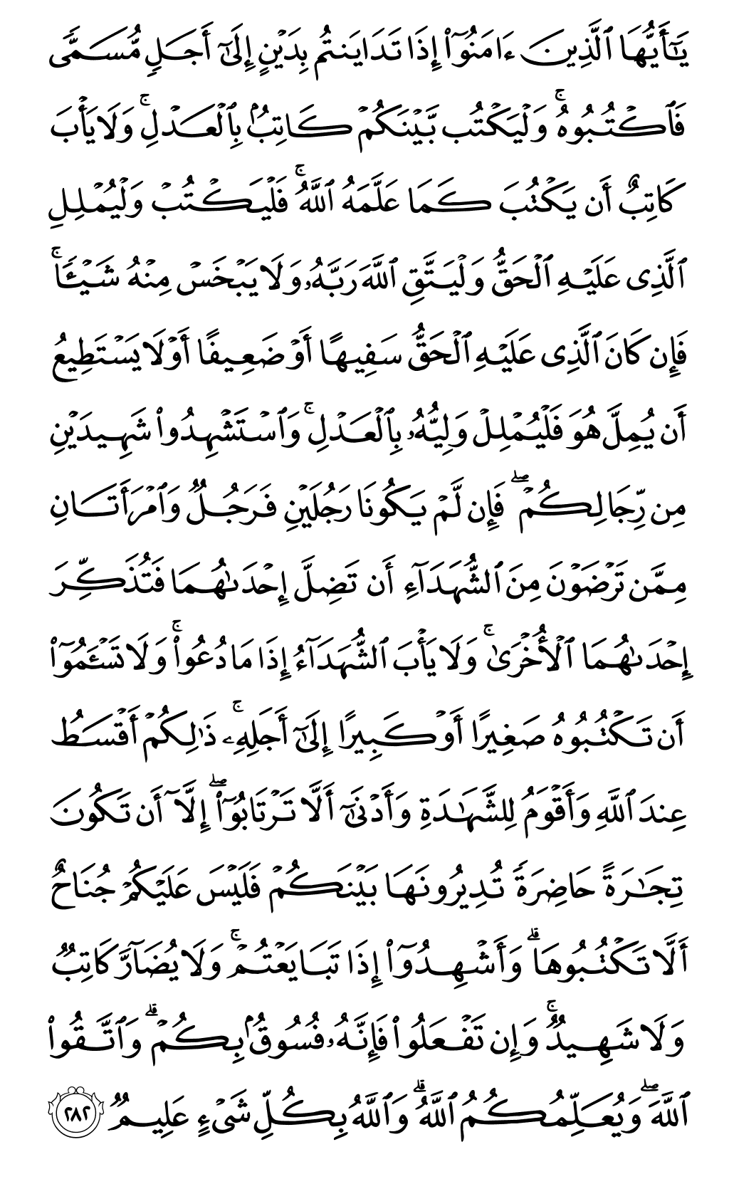 Quran Page 48
