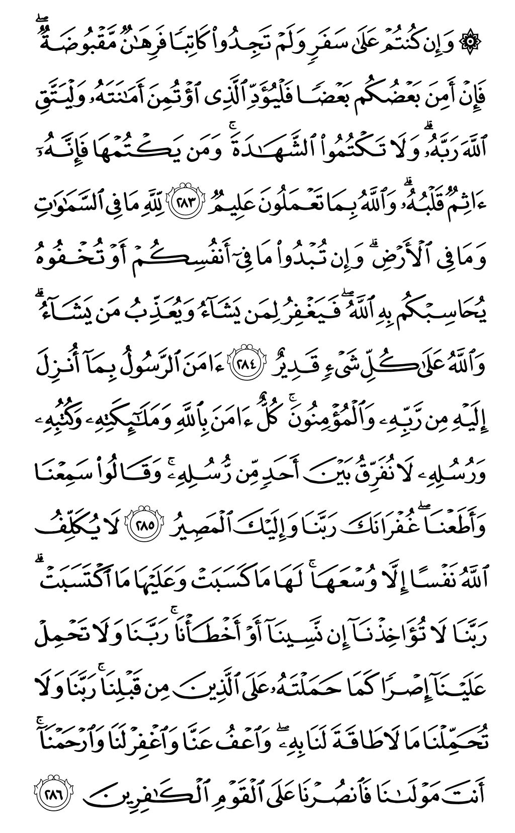Quran Page 49