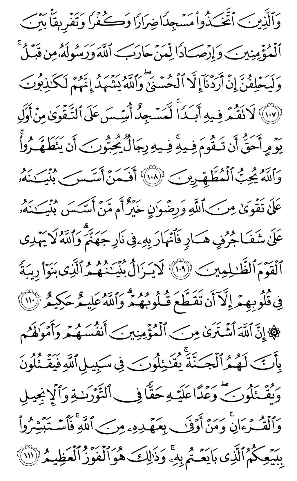 Quran Page 204