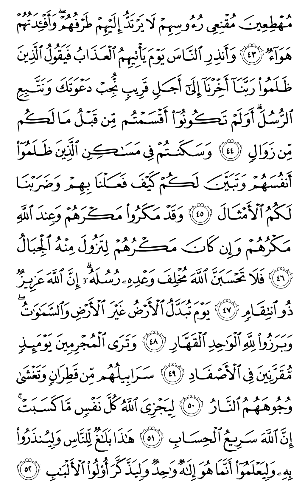 Quran Page 261