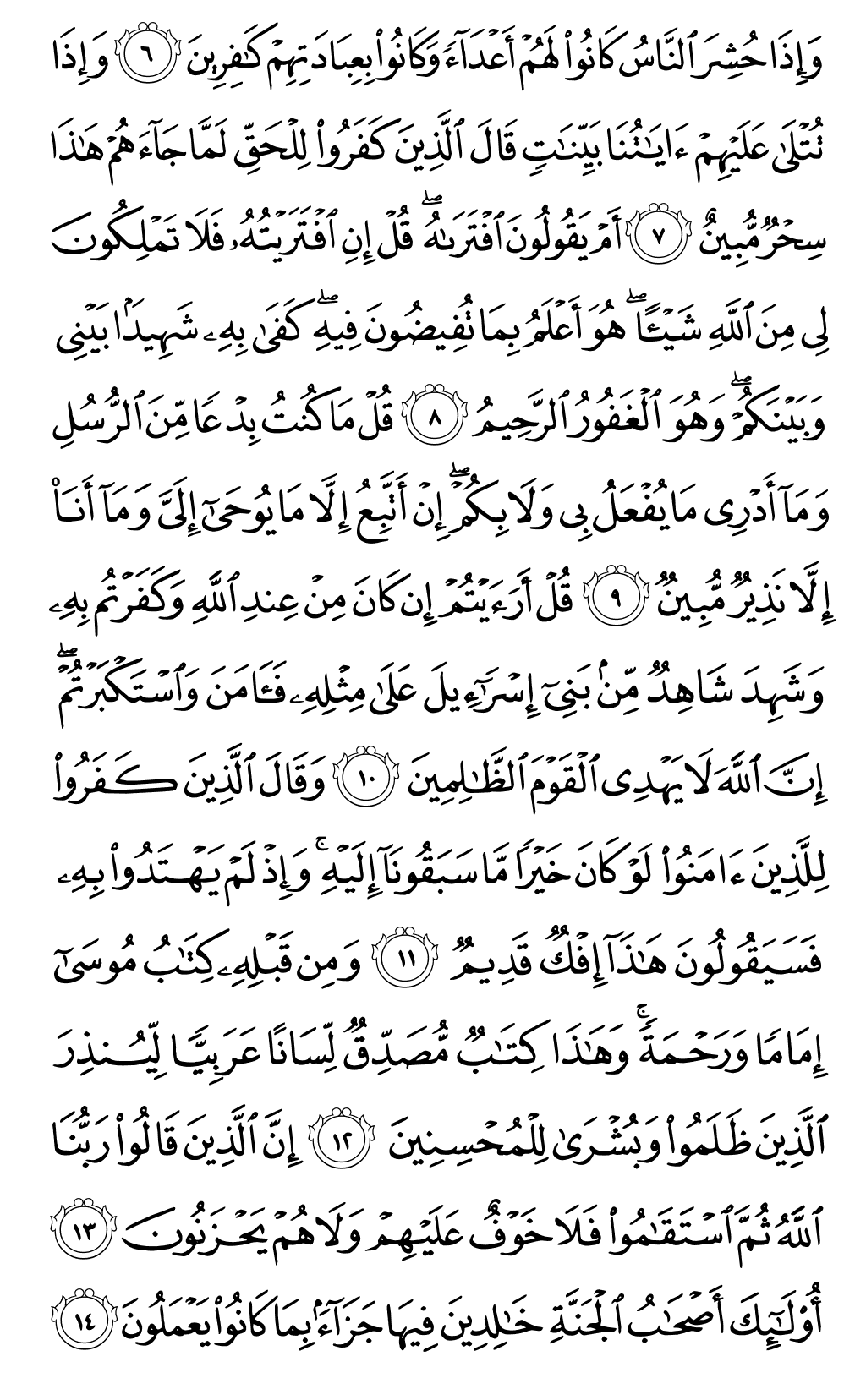 Quran Page 503