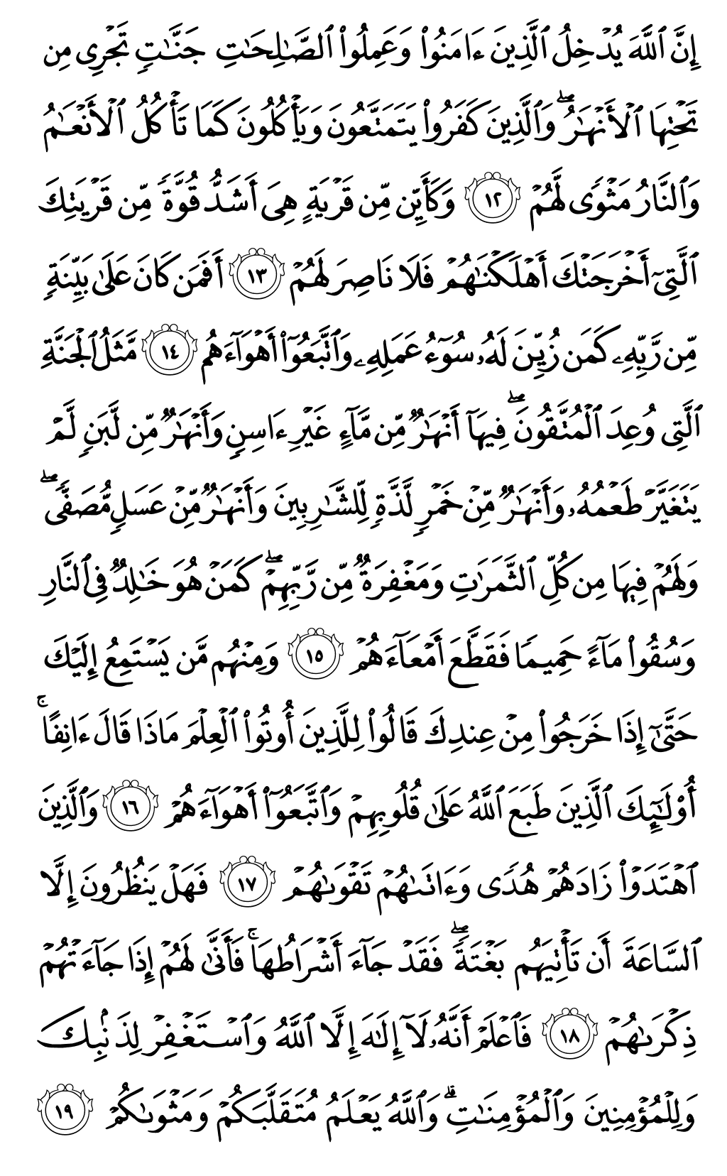 Quran Page 508