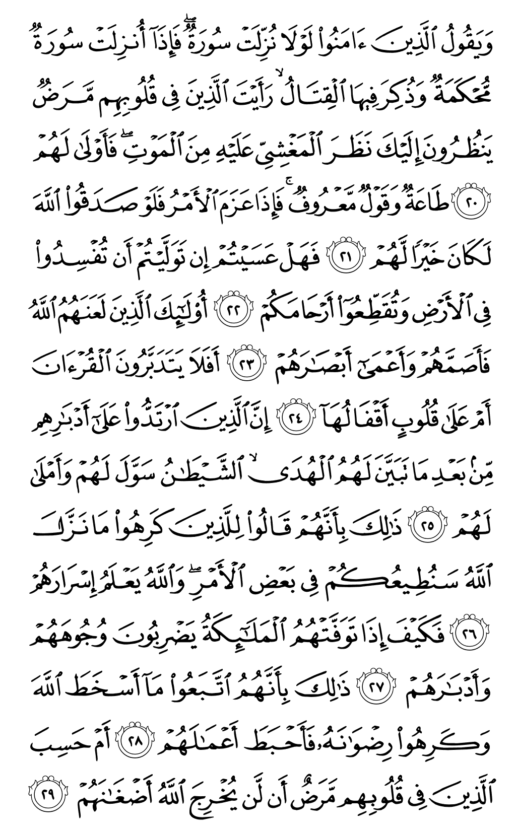 Quran Page 509