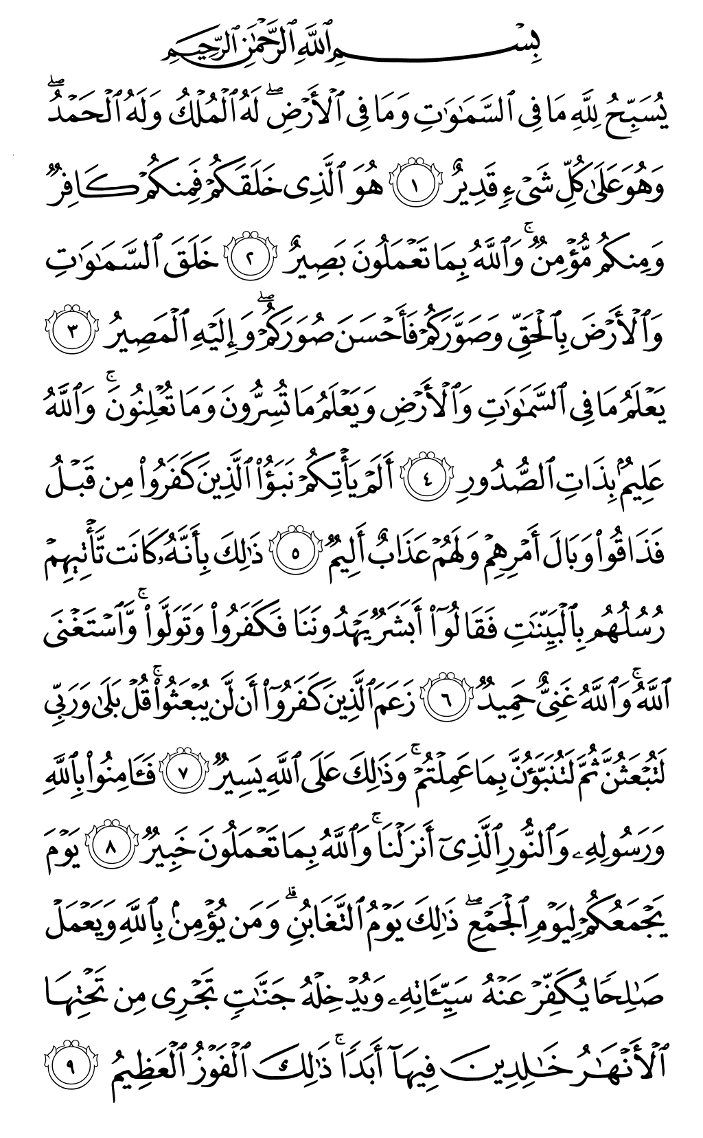 Quran Page 556
