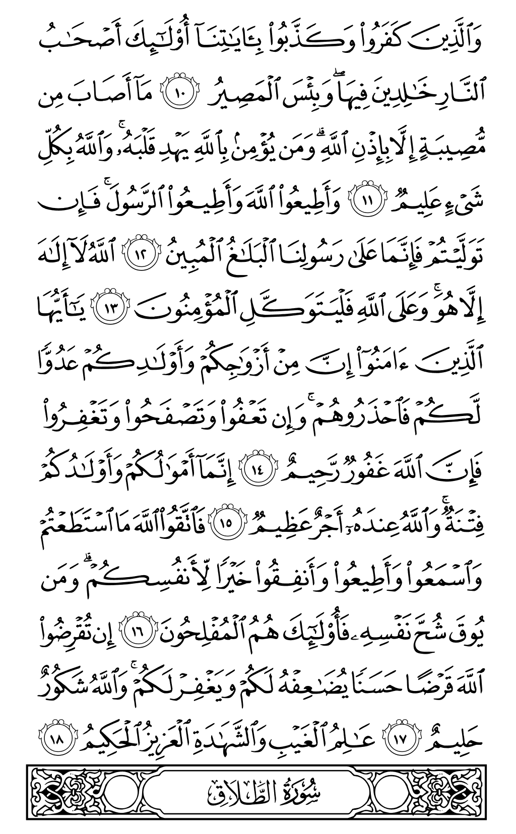 Quran Page 557