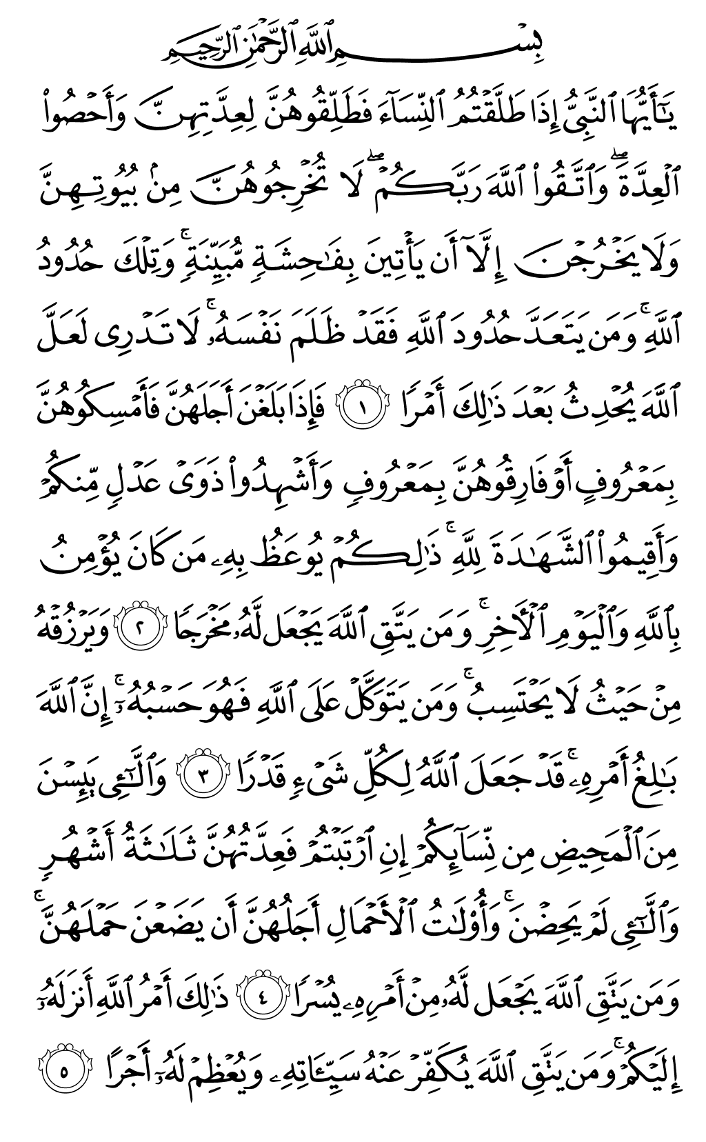 Quran Page 558