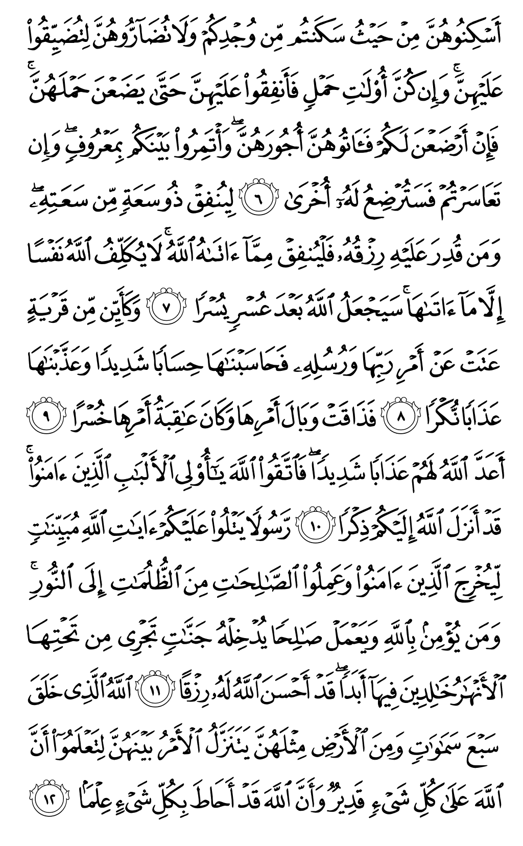 Quran Page 559