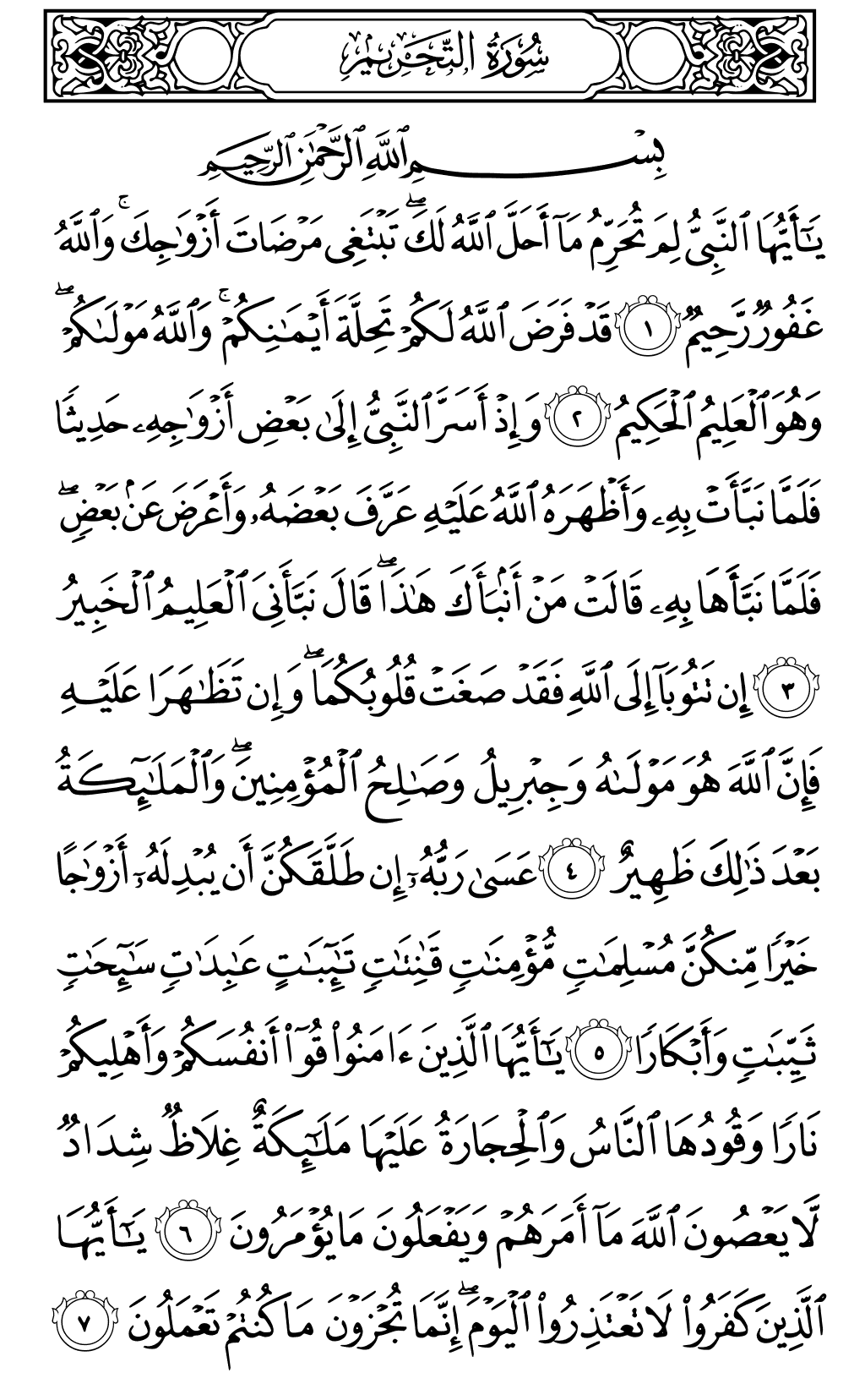 Quran Page 560