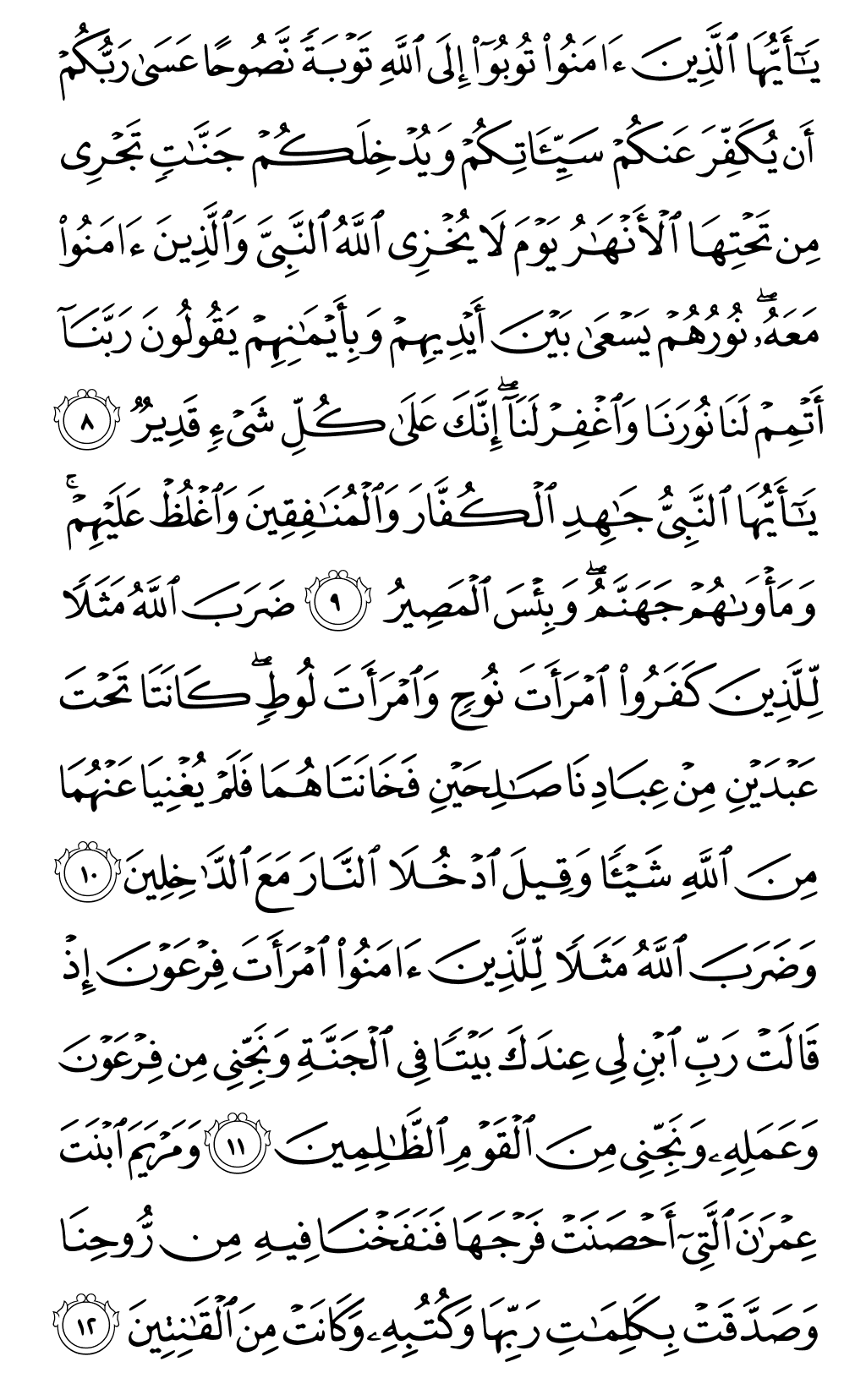 Quran Page 561
