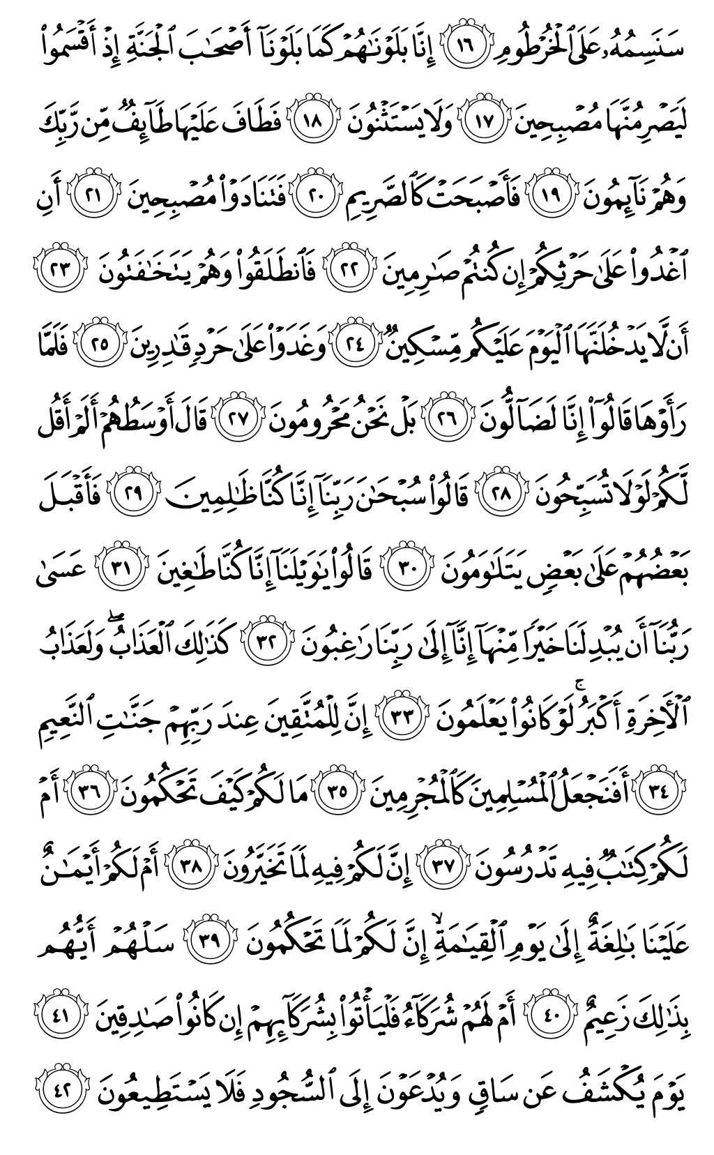 Quran Page 565
